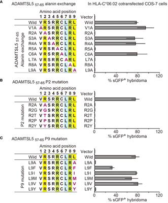 Multiple environmental antigens may trigger autoimmunity in psoriasis through T-cell receptor polyspecificity